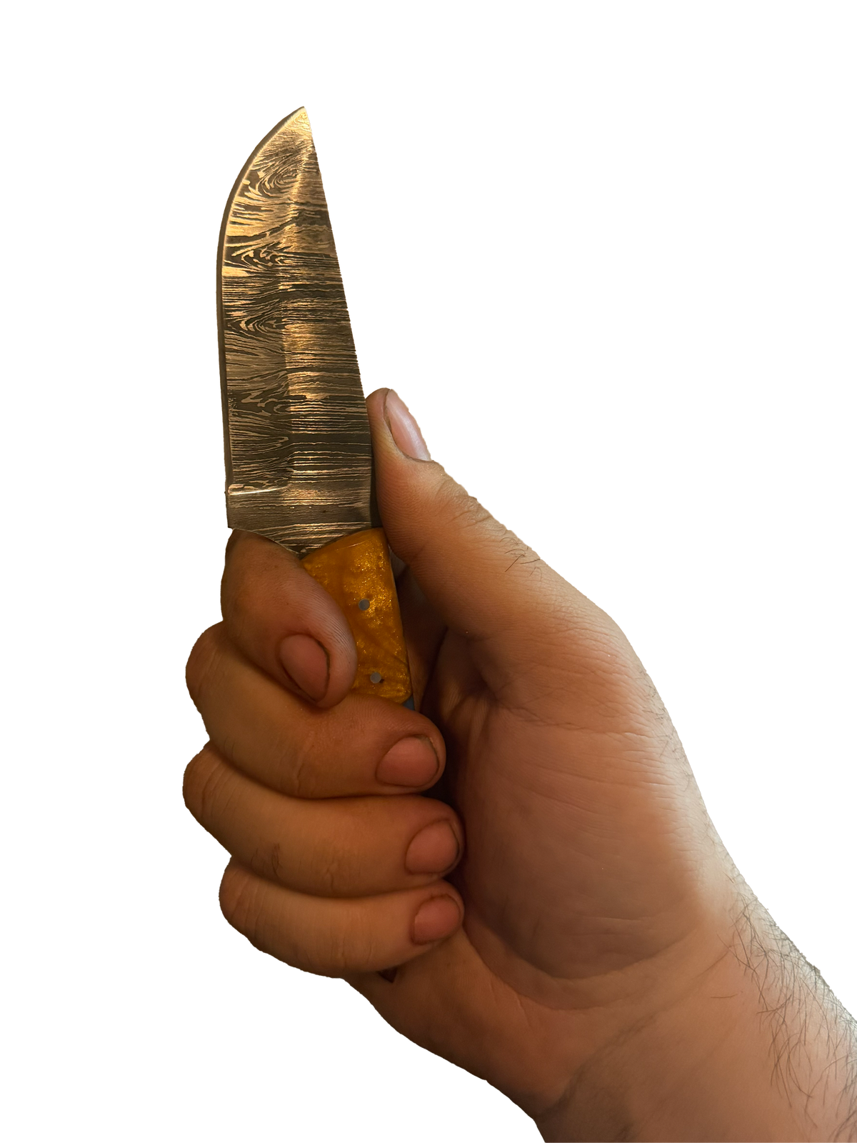 Damascus straight back fixed blade